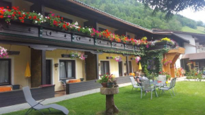 Alpen Appartement Hof